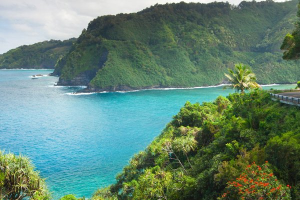 Maui Tours & Activities Tile Image