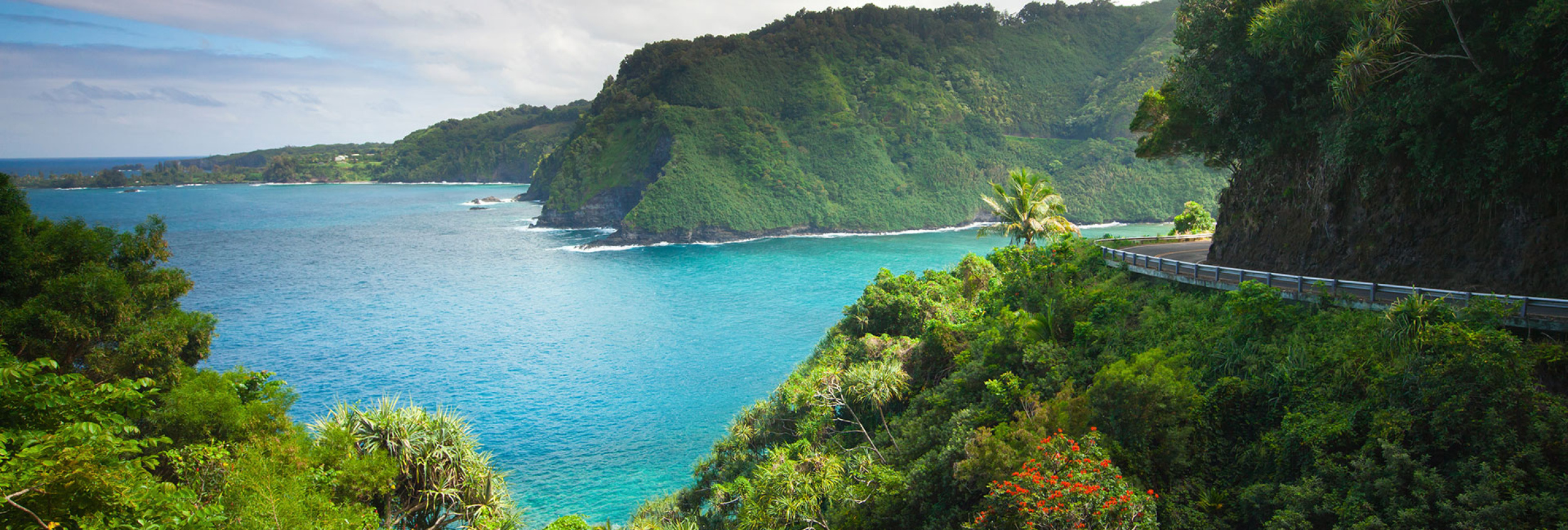 Top Maui Tour Providers