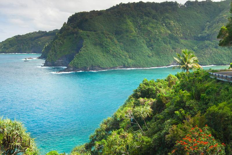 Maui Tours & Activities