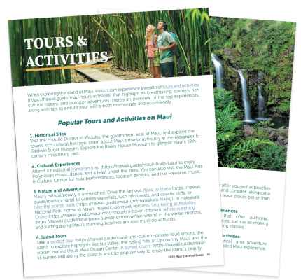 Maui's Top Tours & Activities Suggestions Image