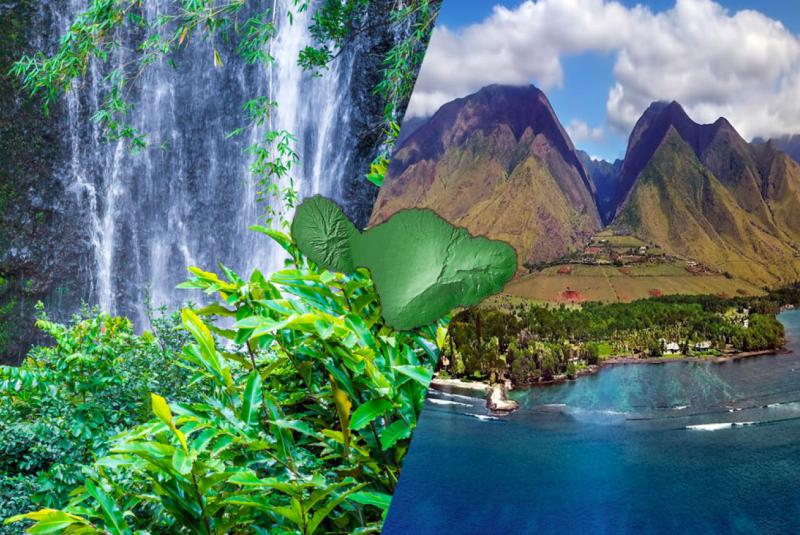 Maui Travel Guide
