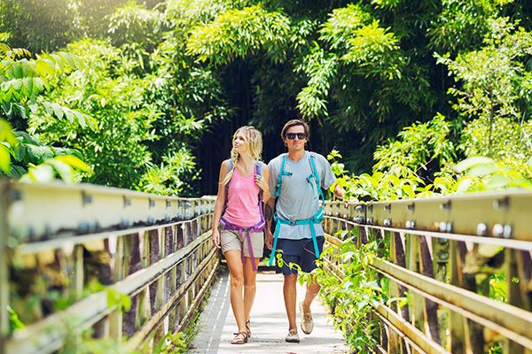 Maui Travel Tips Tile Image