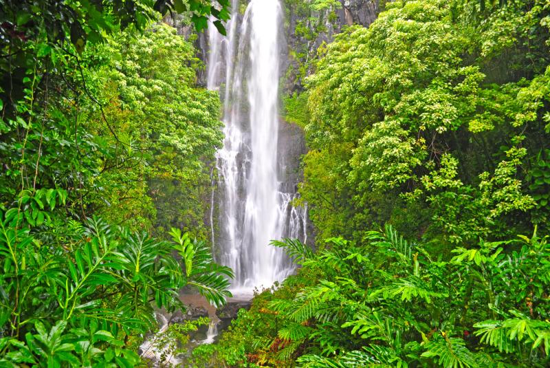 Maui Waterfalls Guide