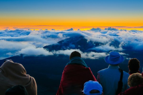 Maui Land Tours Tile Image