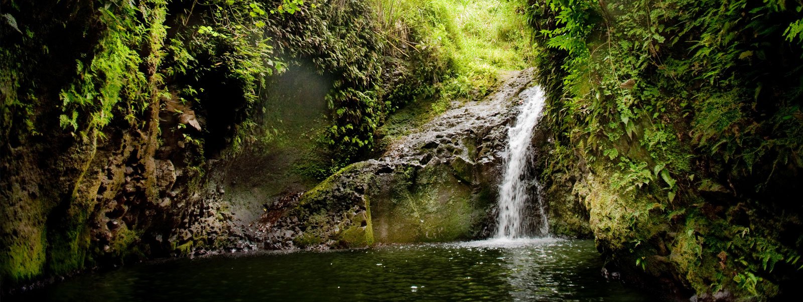 Maunawili Falls
