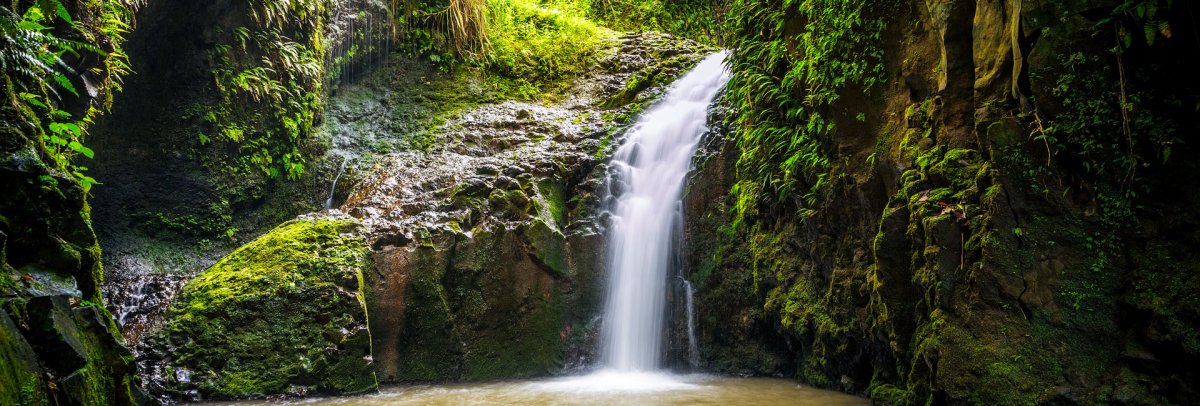 Maunawili Falls Trail