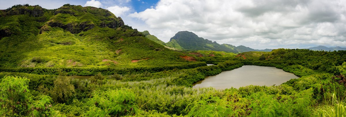 Menehune Fishpond (Alekoko)