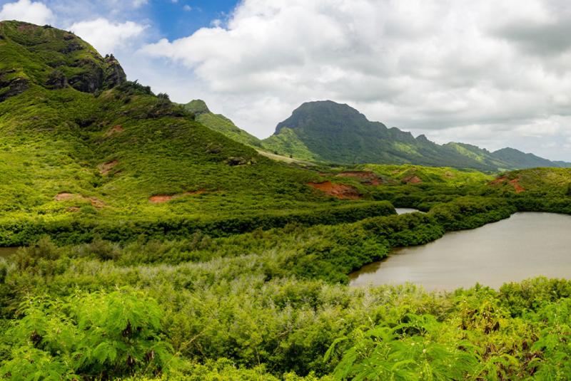 Menehune Fishpond (Alekoko)
