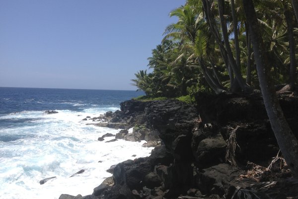 Kilauea Summit to Shore Tour Tile Image