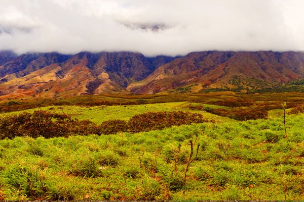 Mokulau Town Tile Image