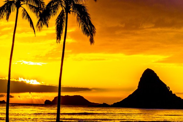 Most Beautiful Beaches on Oahu Tile Image