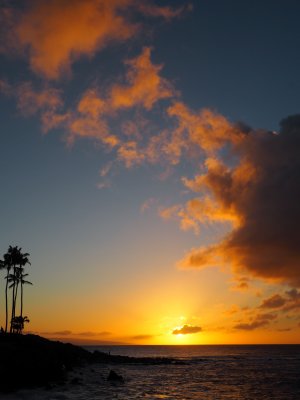 Beautiful open sunset sky weather in Black Rock Hawaii with palm trees in the distance