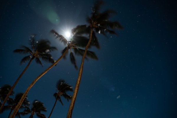 Waikiki at Night: 7 Things You Must Do Tile Image
