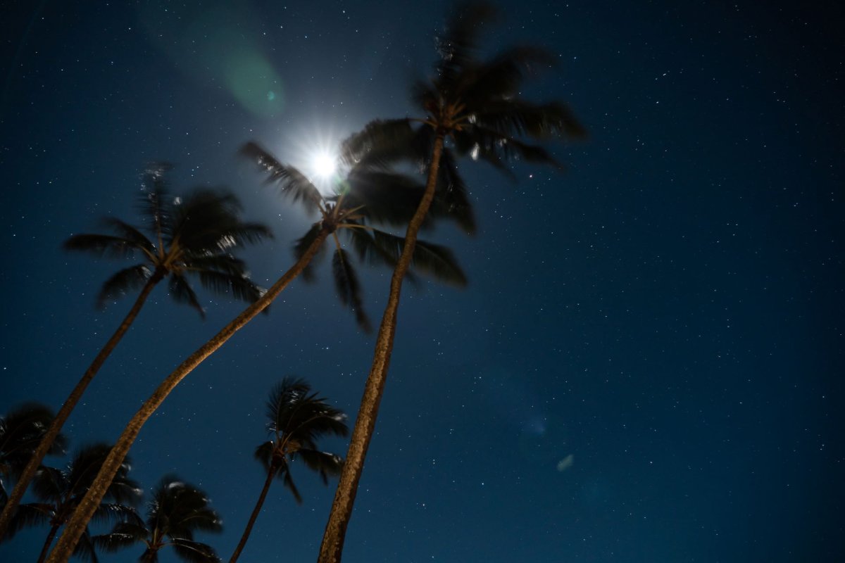 7 Things You Must Do at Night in Waikiki | Oahu Hawaii