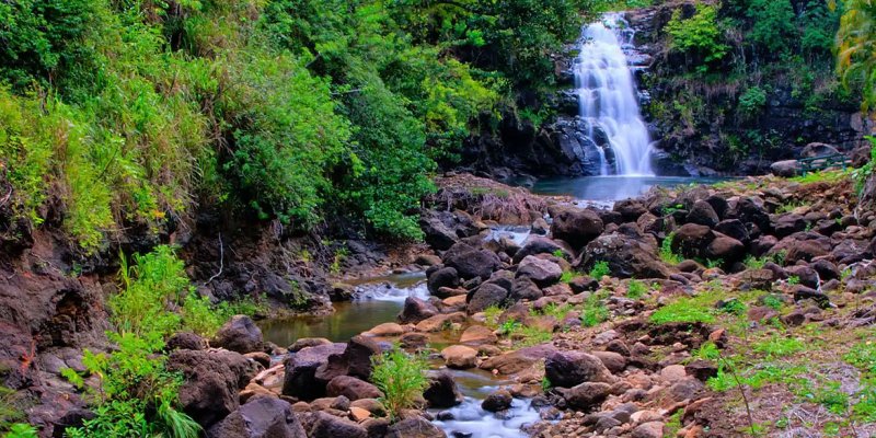 North Shore Hiking Trails