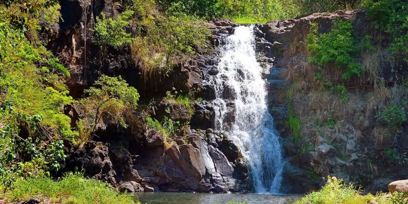 North Shore Oahu Sights