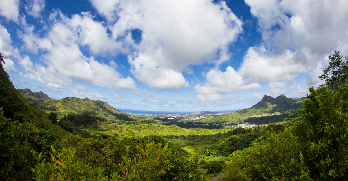 Enjoy the vistas of the Nu'uanu Pali Lookout