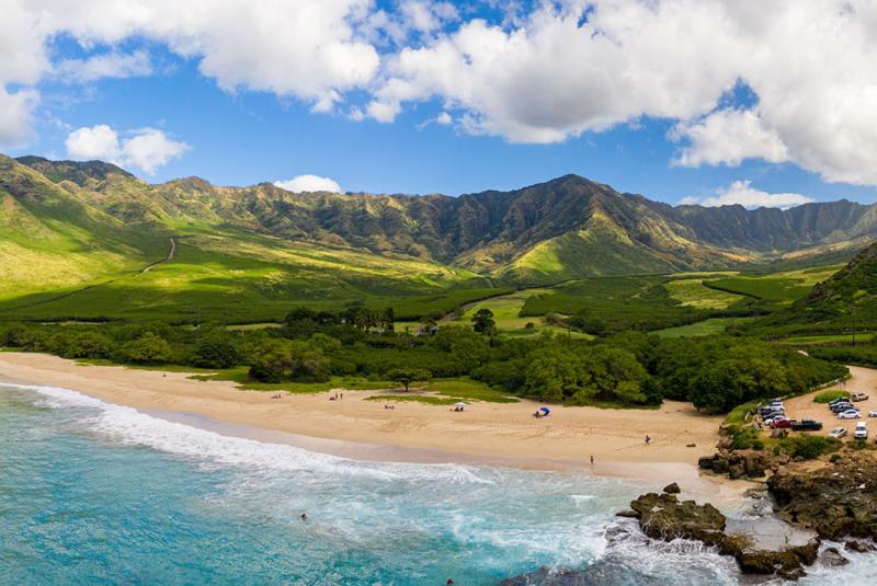 Things to Do on Oahu without A Rental Car
