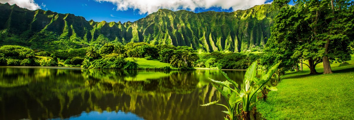 Ho'omaluhia Botanical Garden