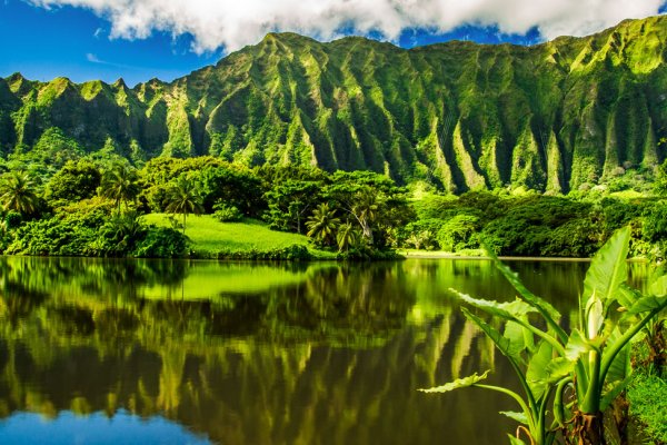 Oahu Gardens Guide Tile Image