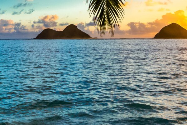 Oahu 1 Day Itinerary Tile Image