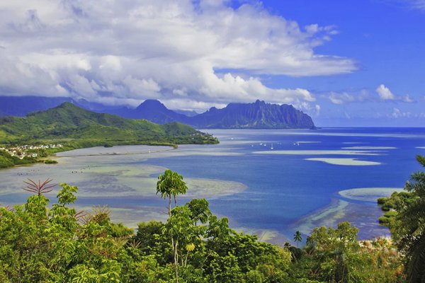 Kaneohe Bay Sandbar Charter Tile Image