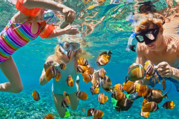 Oahu Tours & Activities Tile Image