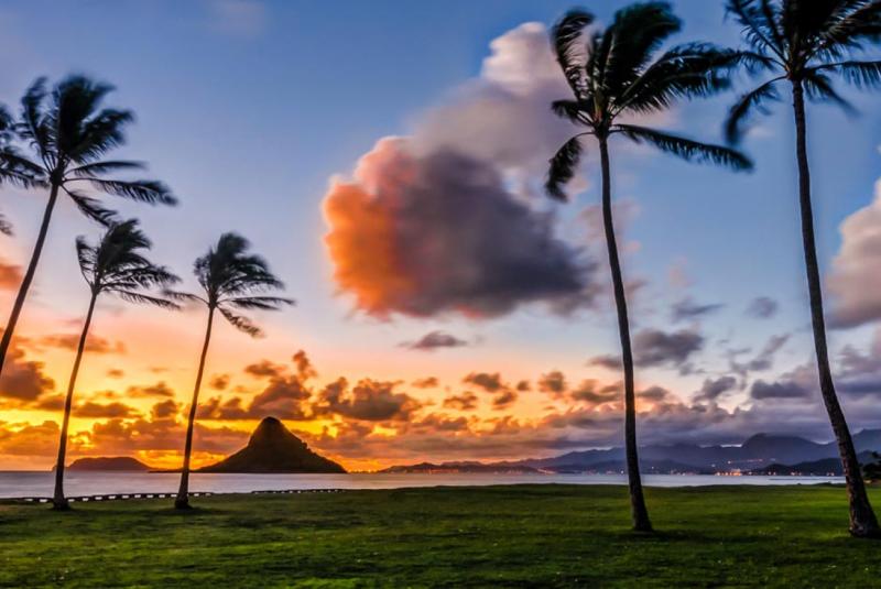 Oahu Visitor Guides