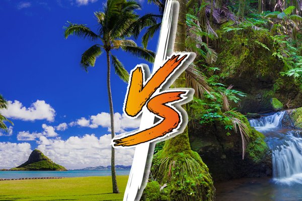 Oahu VS Big Island Tile Image