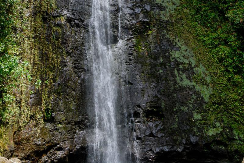 Oahu Waterfalls Guide
