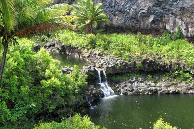 Oheo Gulch Kipahulu Image