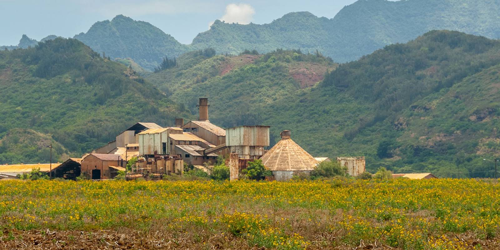 Koloa Sugar Mill Information, Directions & More
