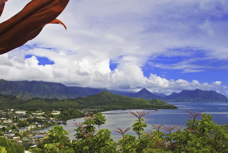 Older Hawaii News & Events Archive