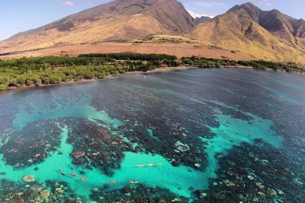 Olowalu Tours Tile Image