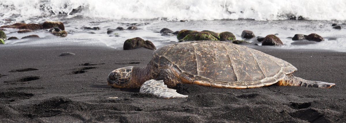 Oneuli Black Sand Beach