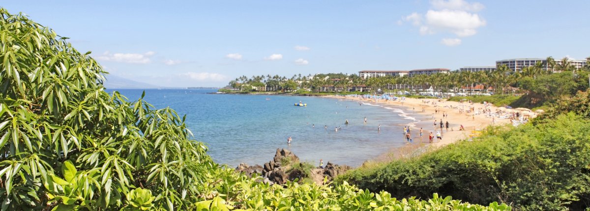 Palauea Beach (White Rocks Beach)