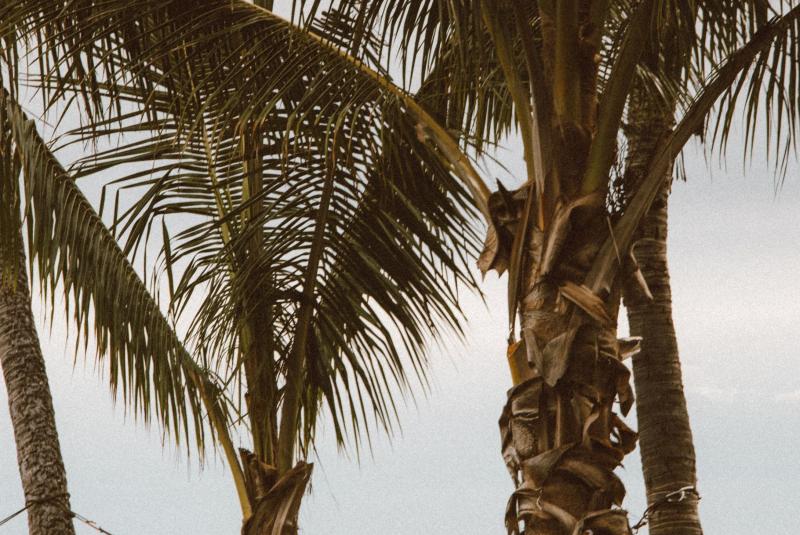 7 Incredible Oahu Relaxation Activities