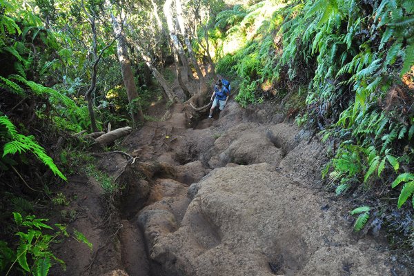 Pihea Trail Tile Image