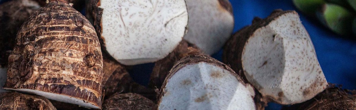 Best Poi Spots on Maui Tile Image