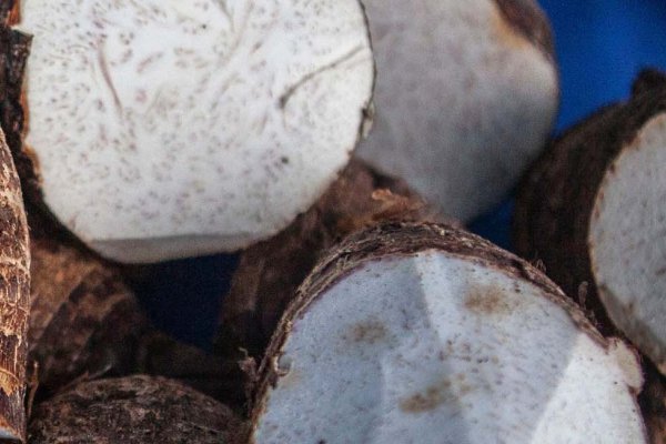 Top Poi Spots on Maui Tile Image