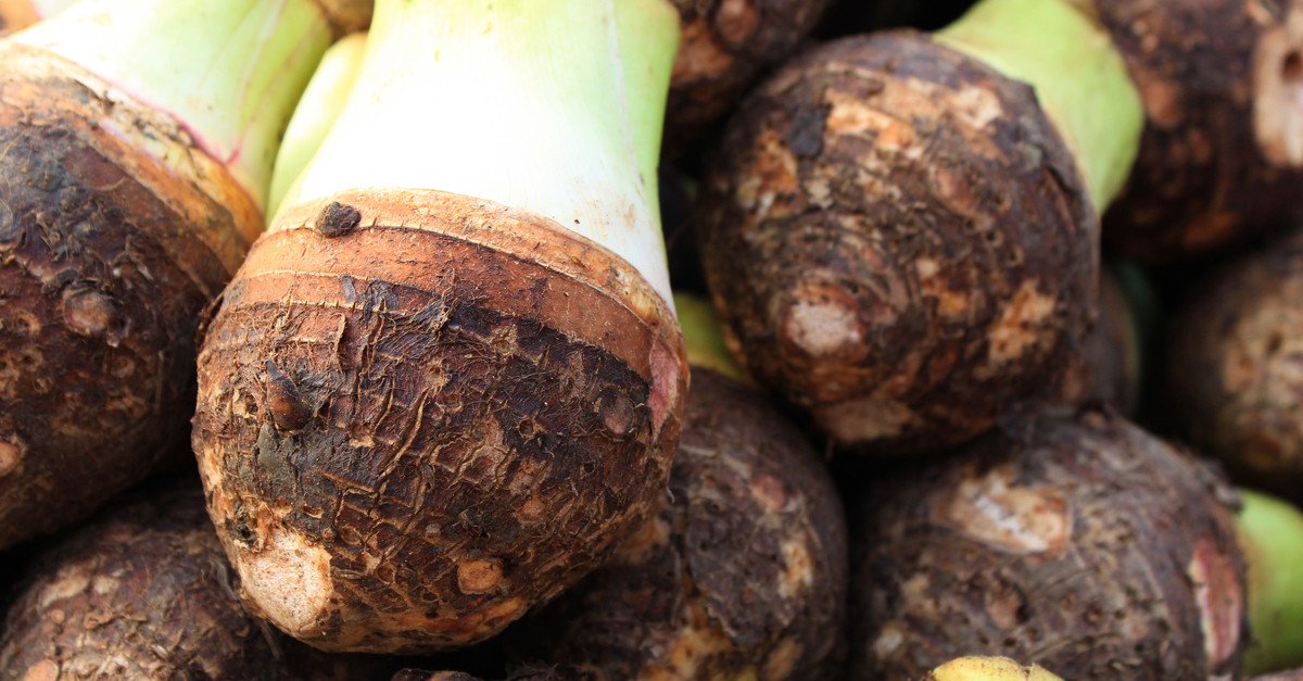 Poi is made from the taro root