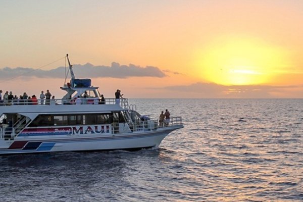 Pride of Maui Sunset Luau Cruise Tile Image