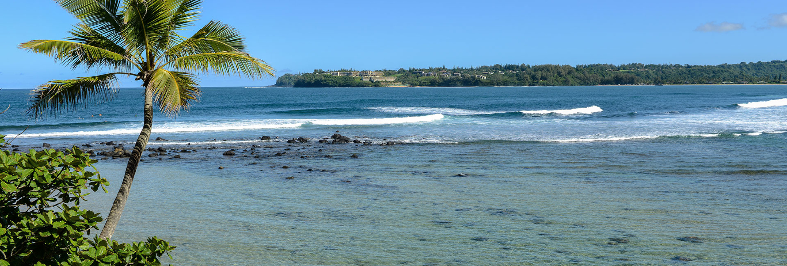 Privacy Policy | Hawaii Travel Guide