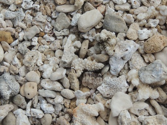 Puaena Point Beach Park