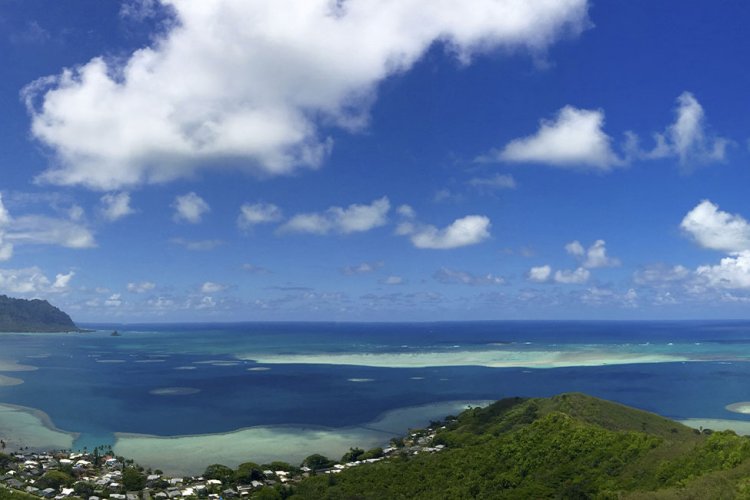 Pu'u Ma'eli'eli Trail (Kane'ohe Bay Pillbox) Image