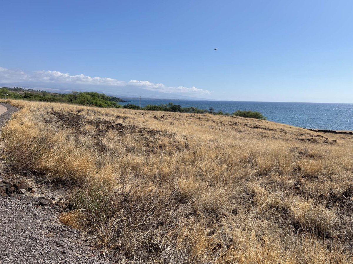 You get ocean views as you walk up to the Puʻukoholā Heiau.