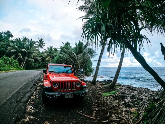 Traveler's red Jeep on the right shoulder of the road overlooking the coast, with palm trees around, making the most out of the trip.