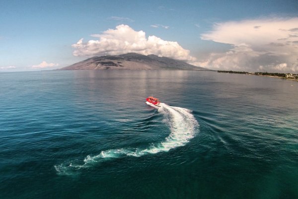 Whale Watch with Redline Tile Image