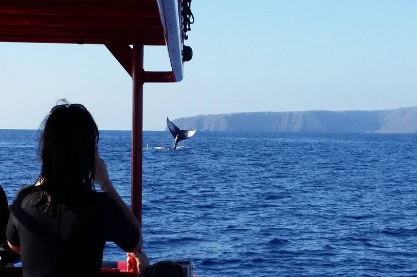 Check off this bucket list item with Redline Rafting