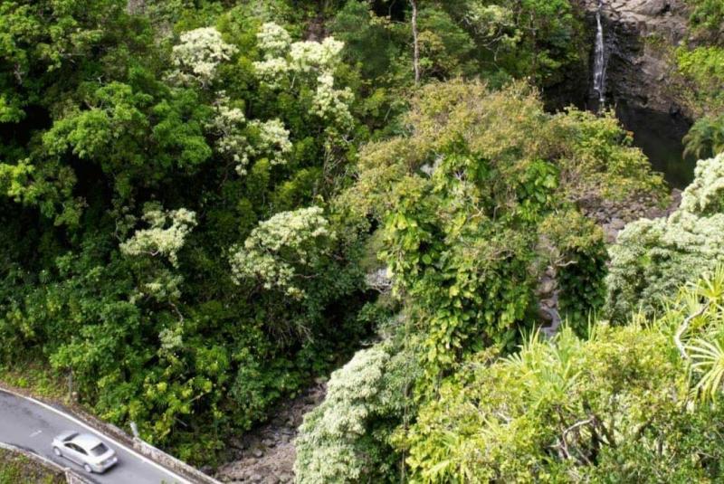 Road to Hana Rest Stops